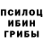 Псилоцибиновые грибы мицелий Darkest Soul