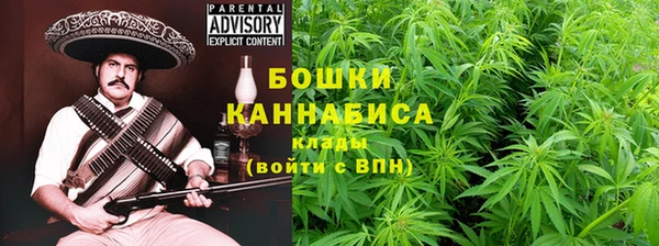 хмурый Осинники