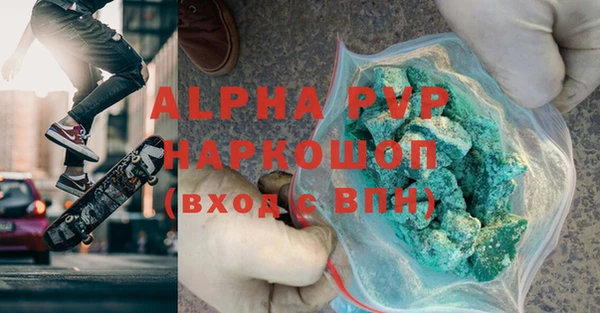 хмурый Осинники