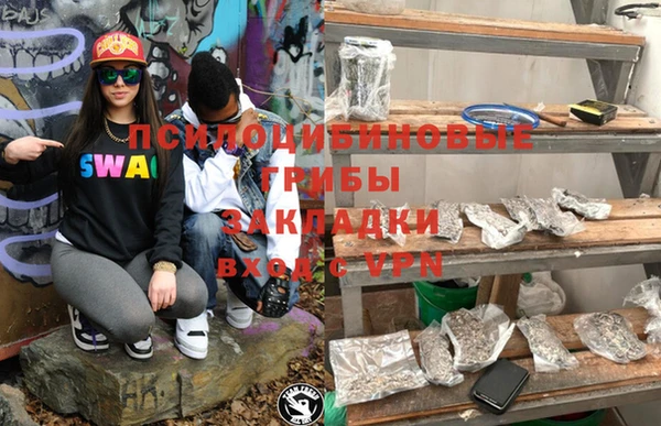 хмурый Осинники